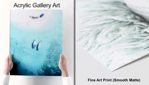 Surfing in the Bay Area