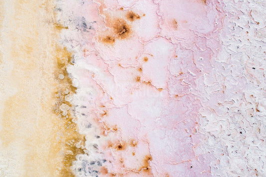 Dried Up Salt Pond Colors