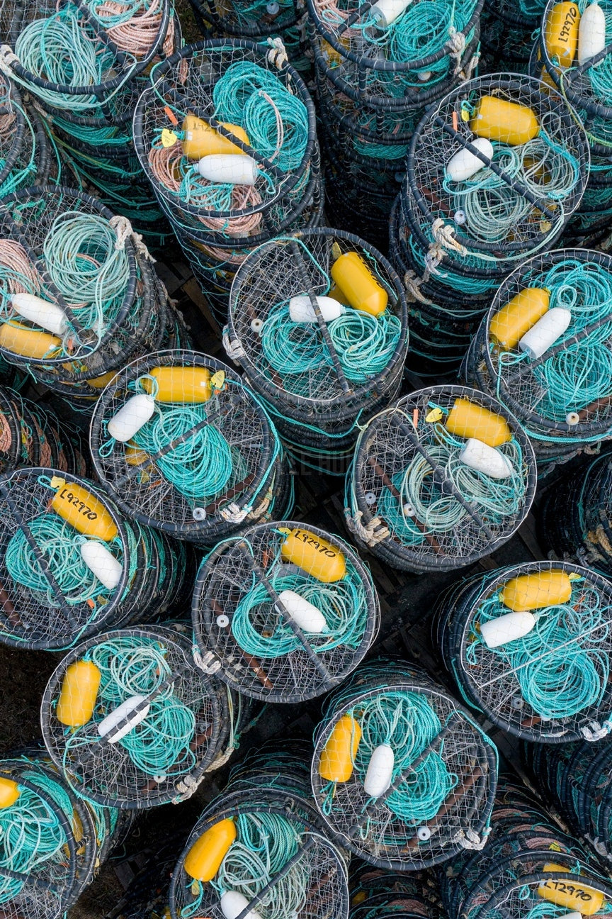 Pots in the Harbor - 2 of 3