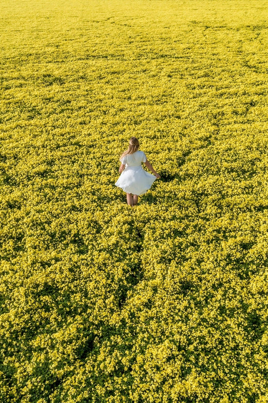 Spring has arrived to the Coast