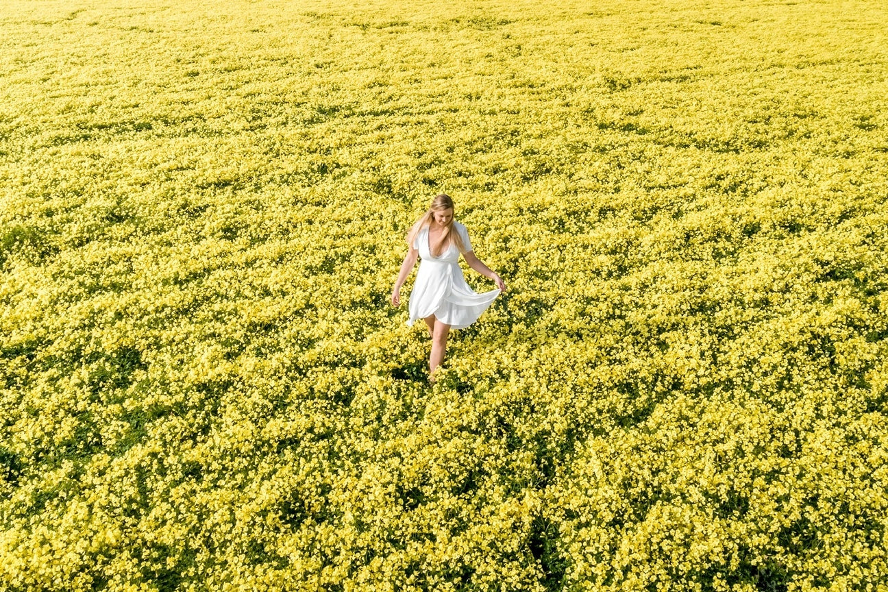 Yellow Coastal Flowers Bloom