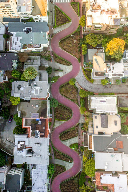 Above Lombard Street
